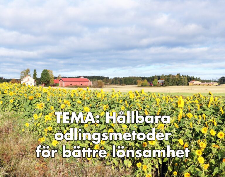Omslaget till temaavsnittet: Hållbara odlingsmetoder för bättre lönsamhet