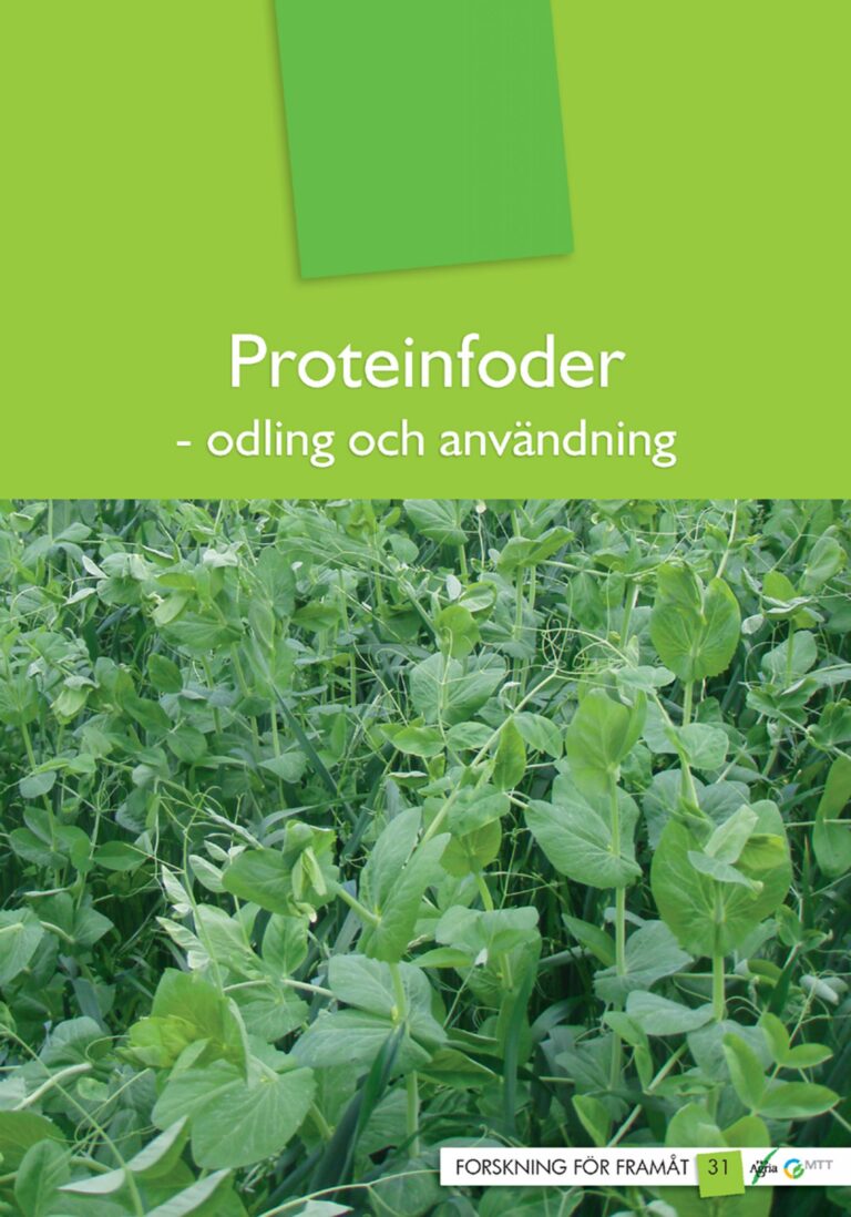 Pärmen till Proteinfoder – odling och användning