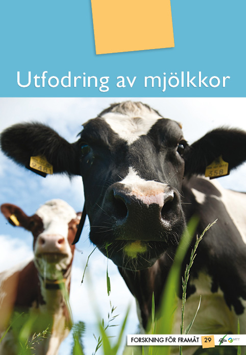 Pärmen till Utfodring av mjölkkor